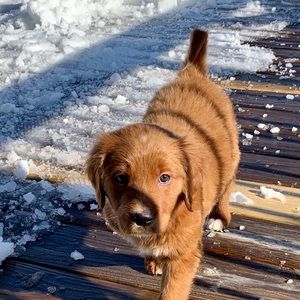 Meet your Posher, Erica